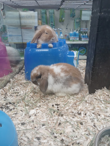 Pet Supply Store «The Pet Center», reviews and photos, 3725 Renee Dr, Myrtle Beach, SC 29579, USA