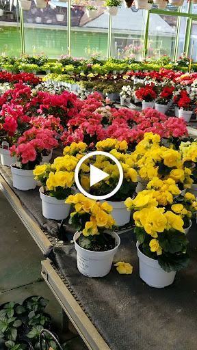 Florist «Dutch & Olgas Greenhouse», reviews and photos, 1285 NJ-36, Hazlet, NJ 07730, USA