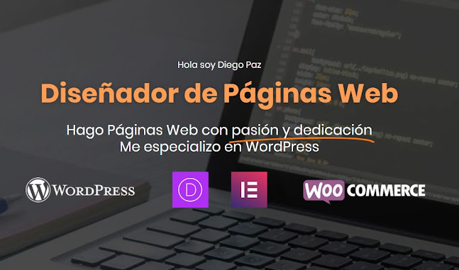 🥇 Diseño Páginas Web Uruguay - Diego Paz Diseñador Web