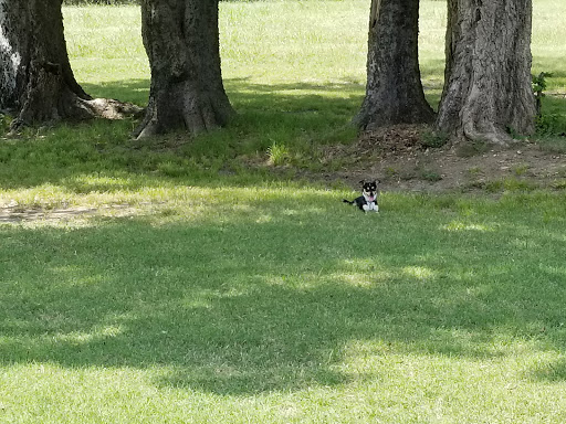 Community Center «NienhuisPark Community Center», reviews and photos, 3201 N 9th St, Broken Arrow, OK 74012, USA