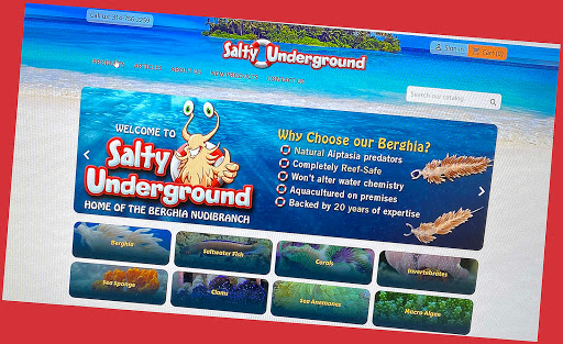 Salty Underground.com