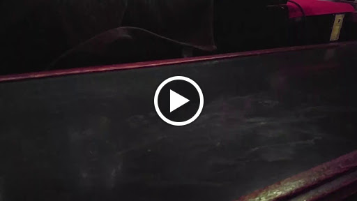 Night Club «The Phoenix», reviews and photos, 302 W 8th St, Kansas City, MO 64105, USA