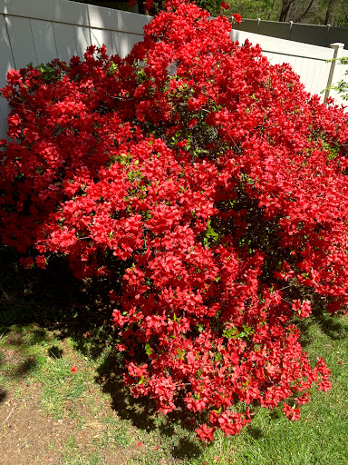 Grocery Store «ACME Markets», reviews and photos, 103 Knollwood Rd, Greenburgh, NY 10607, USA