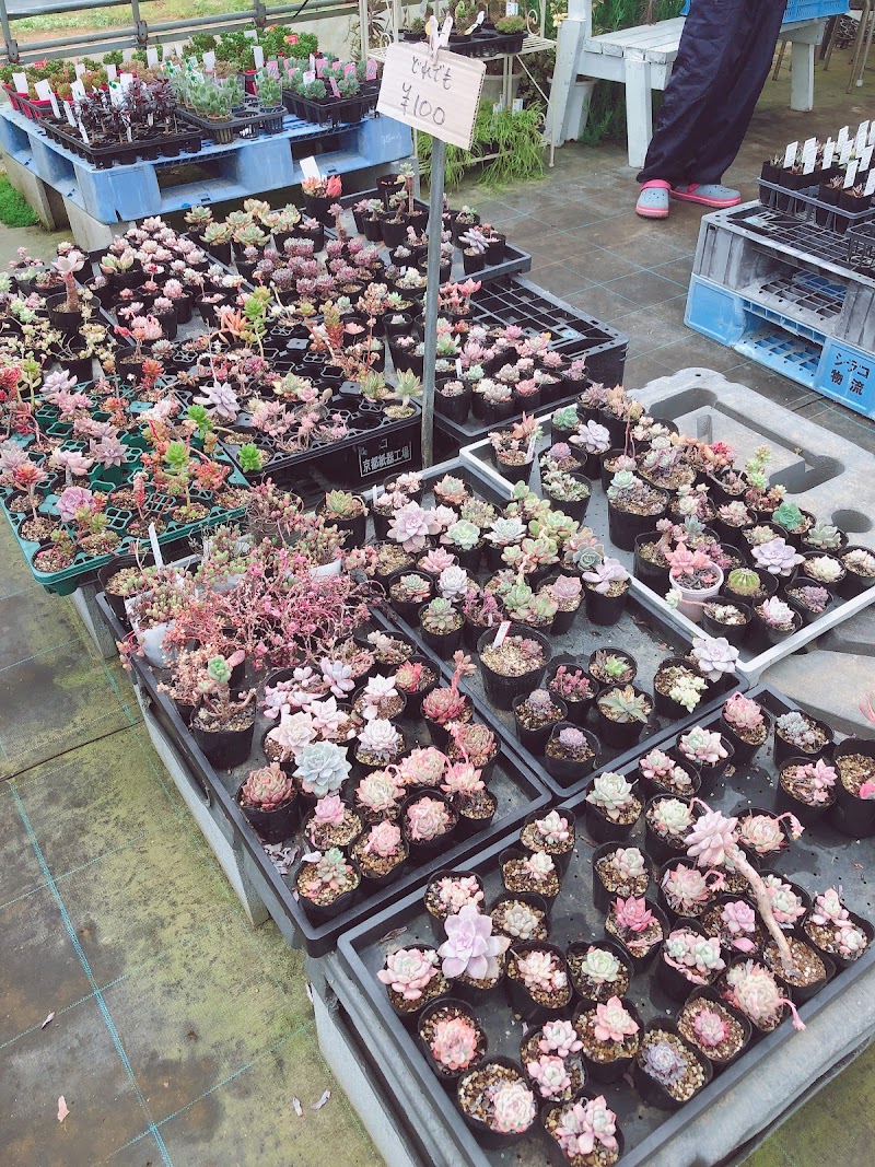 お肉園 愛媛県大洲市上須戒 植物園 グルコミ