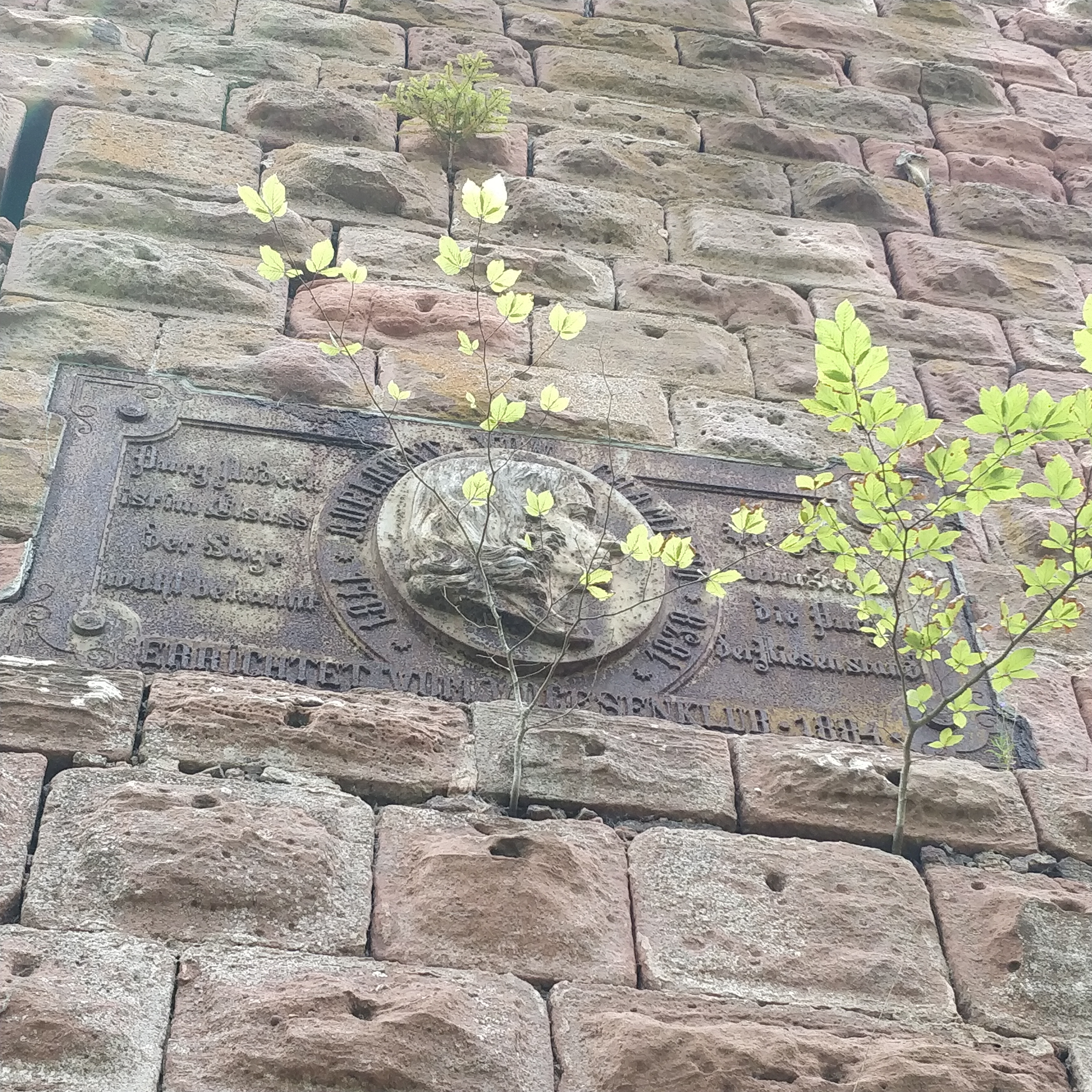 Photo n° 2 de l'avis de Annie.G fait le 25/08/2023 à 06:47