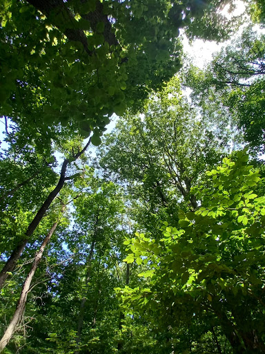 Nature Preserve «Flat Rock Brook Nature Center», reviews and photos, 443 Van Nostrand Ave, Englewood, NJ 07631, USA