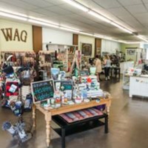 Pet Supply Store «3 Dogs and a Chick», reviews and photos, 130 Miracle Strip Pkwy SE, Fort Walton Beach, FL 32548, USA