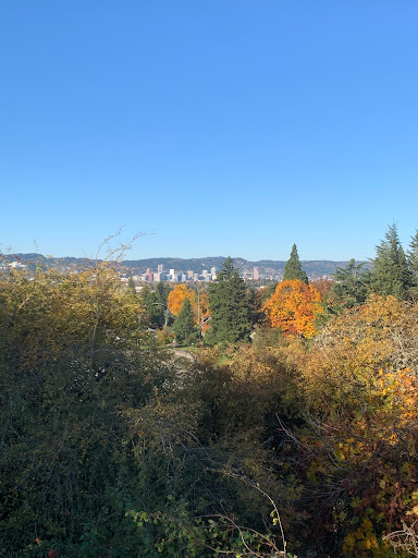 Park «Clinton City Park», reviews and photos, 5576 SE Division St, Portland, OR 97206, USA