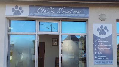 K'ouaf Moi, toilettage et bien-être animal à Gençay
