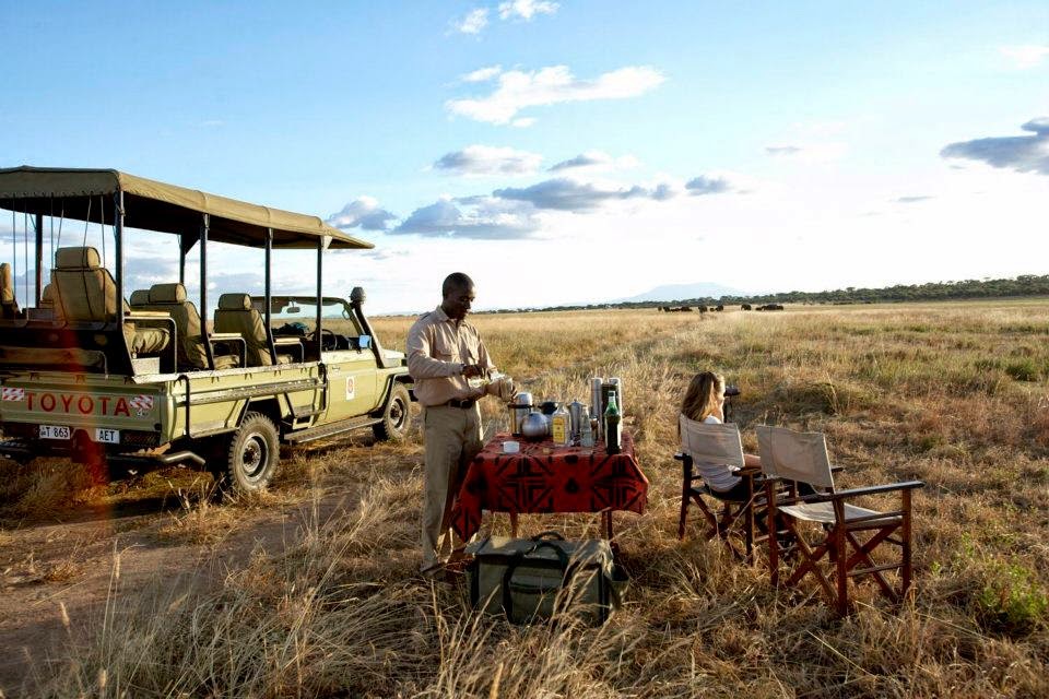 Journey To Africa Safaris - Planning life-changing luxury Safaris to Eastern and Southern Africa