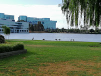 EY - Photo 4 - Car repair in San Mateo, CA, San Mateo