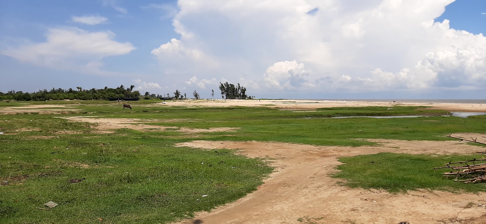 Foto de Lal Kankra Beach con recta y larga