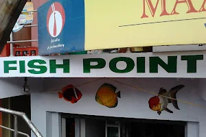 Fish Point image