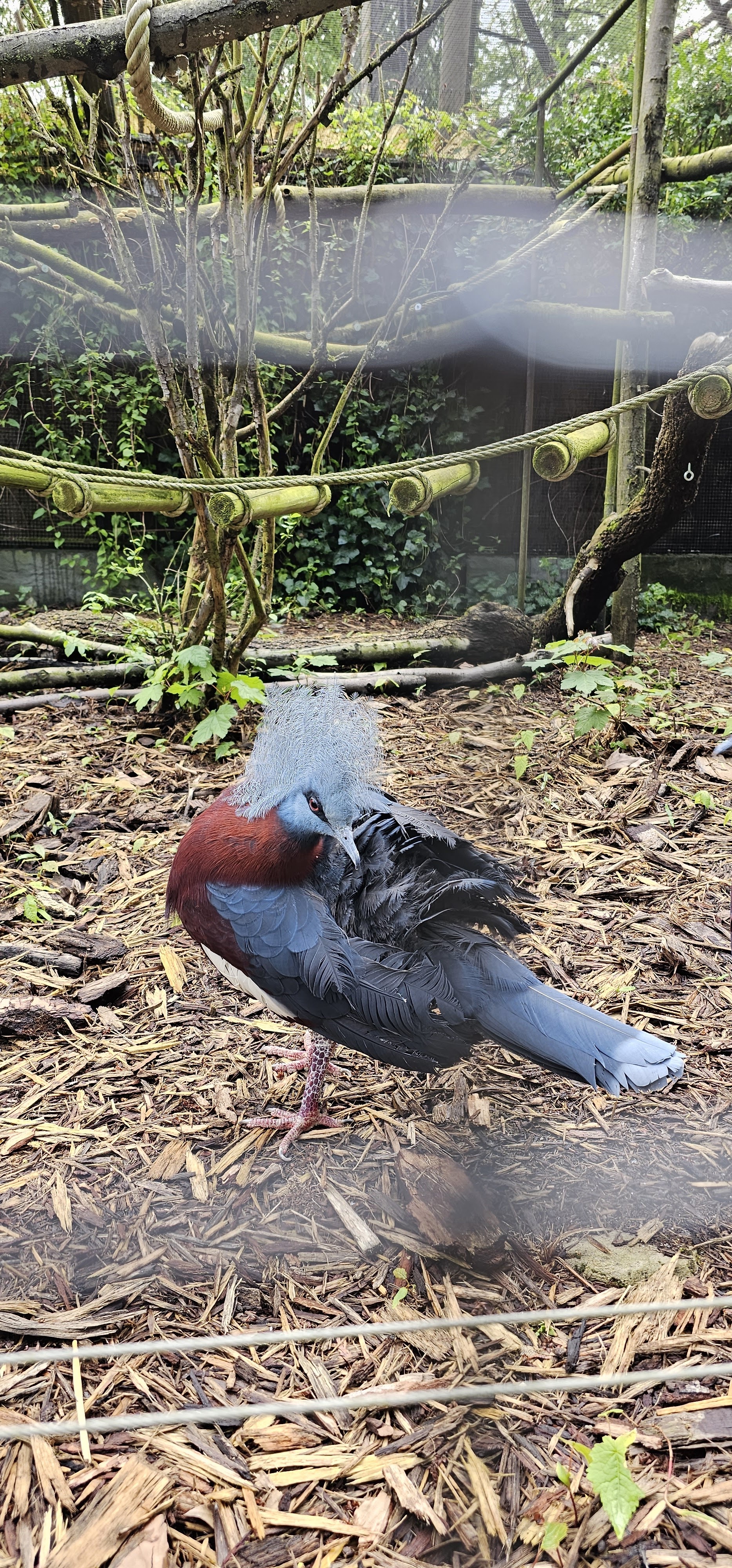 Photo n° 14 de l'avis de yaya.a fait le 15/05/2023 à 16:30