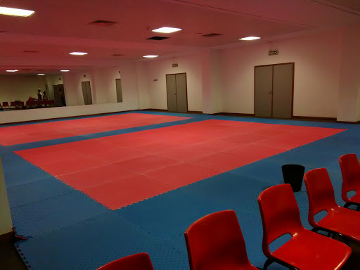 Martial arts classes Oporto