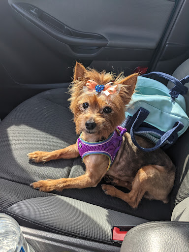 Pet Supply Store «Pet Supplies Plus», reviews and photos, 2600 McFarland Blvd E U, Tuscaloosa, AL 35405, USA