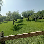 Photo n°7 de l'avis de Mariella.a fait le 08/08/2023 à 05:56 sur le  Farmhouse La Rondinella à Scalea