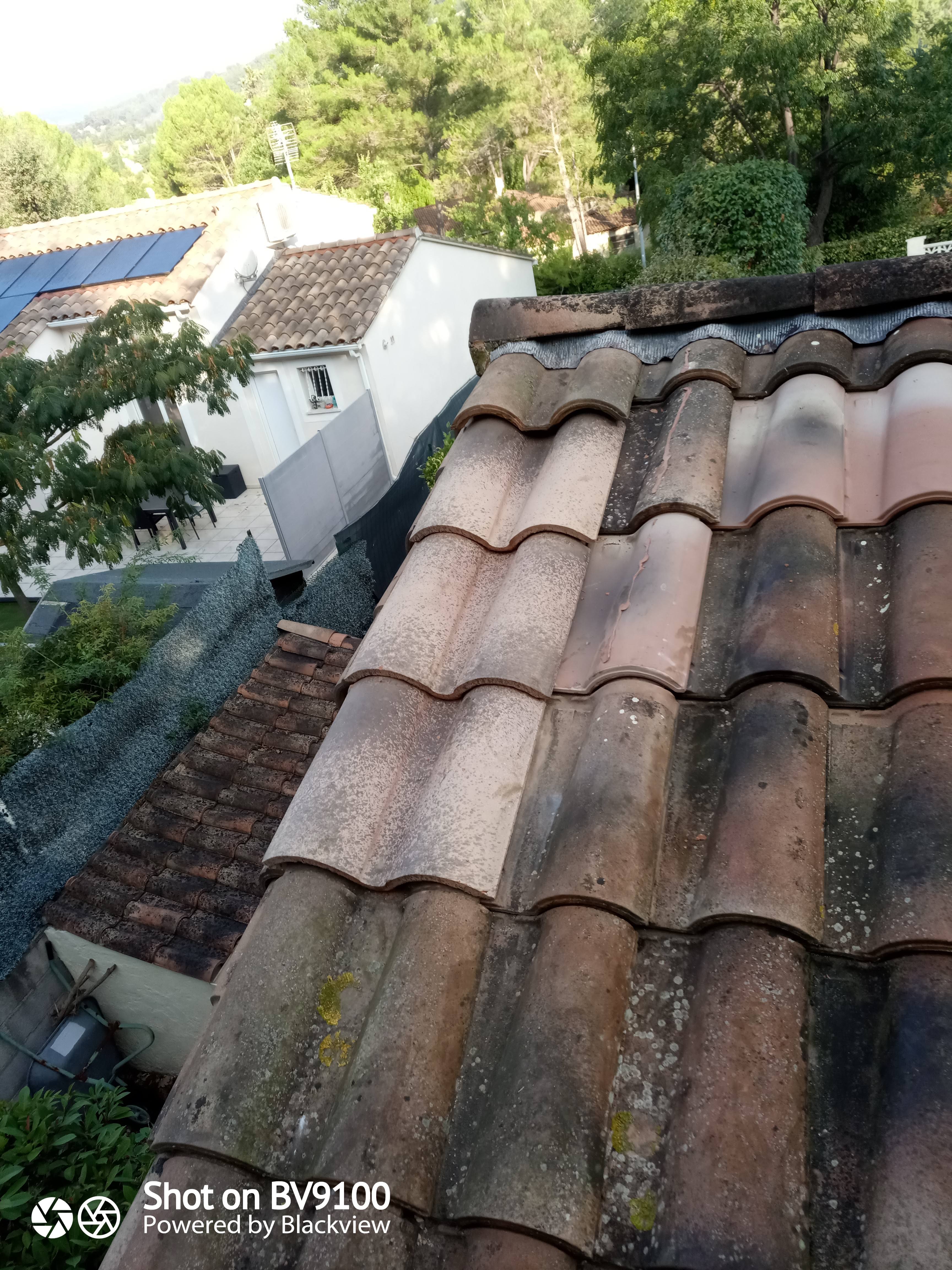 Photo n° 9 de l'avis de Paul.a fait le 25/10/2020 à 12:29