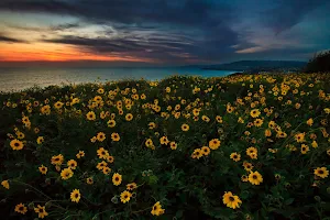 Dana Point Headlands Conservation Area image