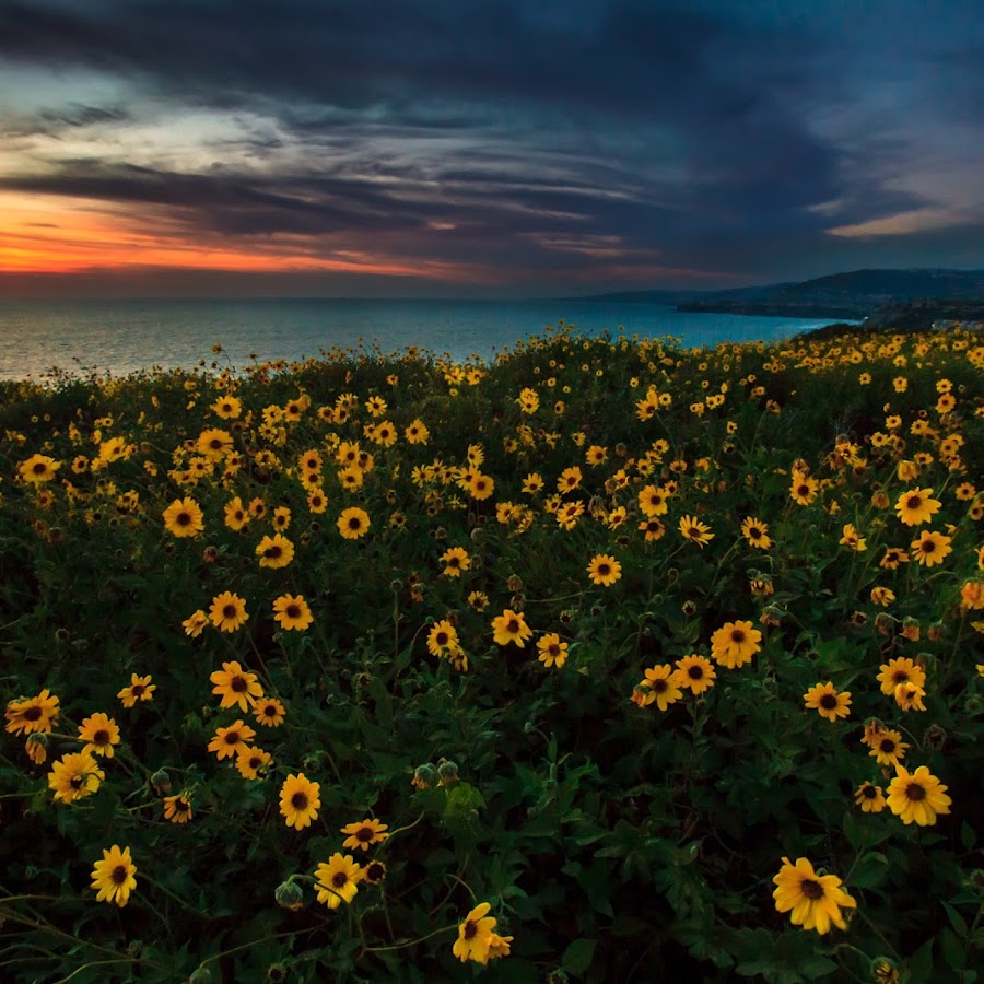 Dana Point Headlands Conservation Area