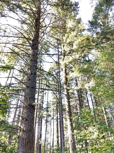 Country Club «Royal Oaks Country Club», reviews and photos, 8917 NE Fourth Plain Blvd, Vancouver, WA 98662, USA