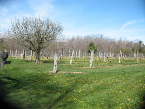 Vineyard «Miranda Vineyard», reviews and photos, 42 Ives Rd, Goshen, CT 06756, USA