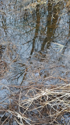 Golf Course «Yahara Hills Golf Course», reviews and photos, 6701 US-12, Madison, WI 53718, USA