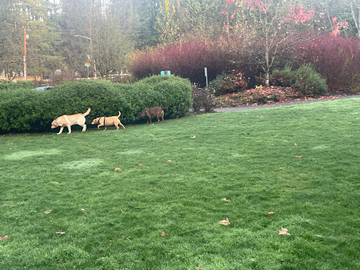 Park «Viewpoint Park», reviews and photos, 134th & NE 24th Street, Bellevue, WA 98005, USA