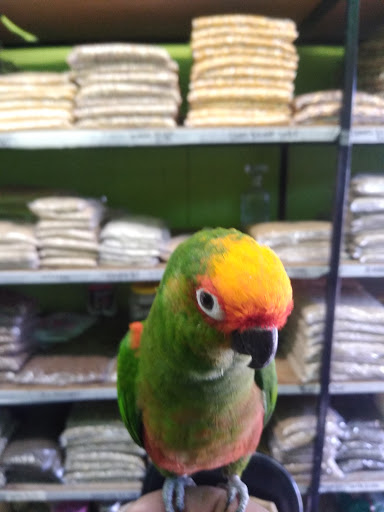 Pet Store «Inez Pet Shop», reviews and photos, 3825 Whittier Blvd, Los Angeles, CA 90023, USA