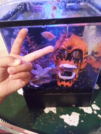 Pet Supply Store «Pet Supplies Plus», reviews and photos, 8703 W Grand River Ave, Brighton, MI 48116, USA