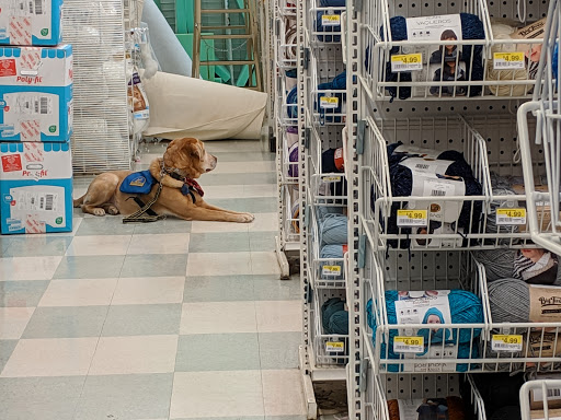 Fabric Store «Jo-Ann Fabrics and Crafts», reviews and photos, 3700 William Penn Hwy, Monroeville, PA 15146, USA