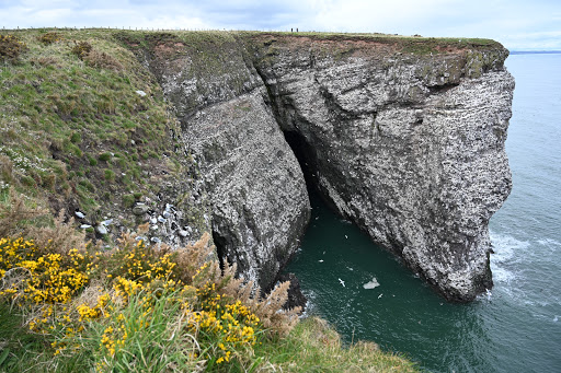 Natural waterfalls nearby Aberdeen