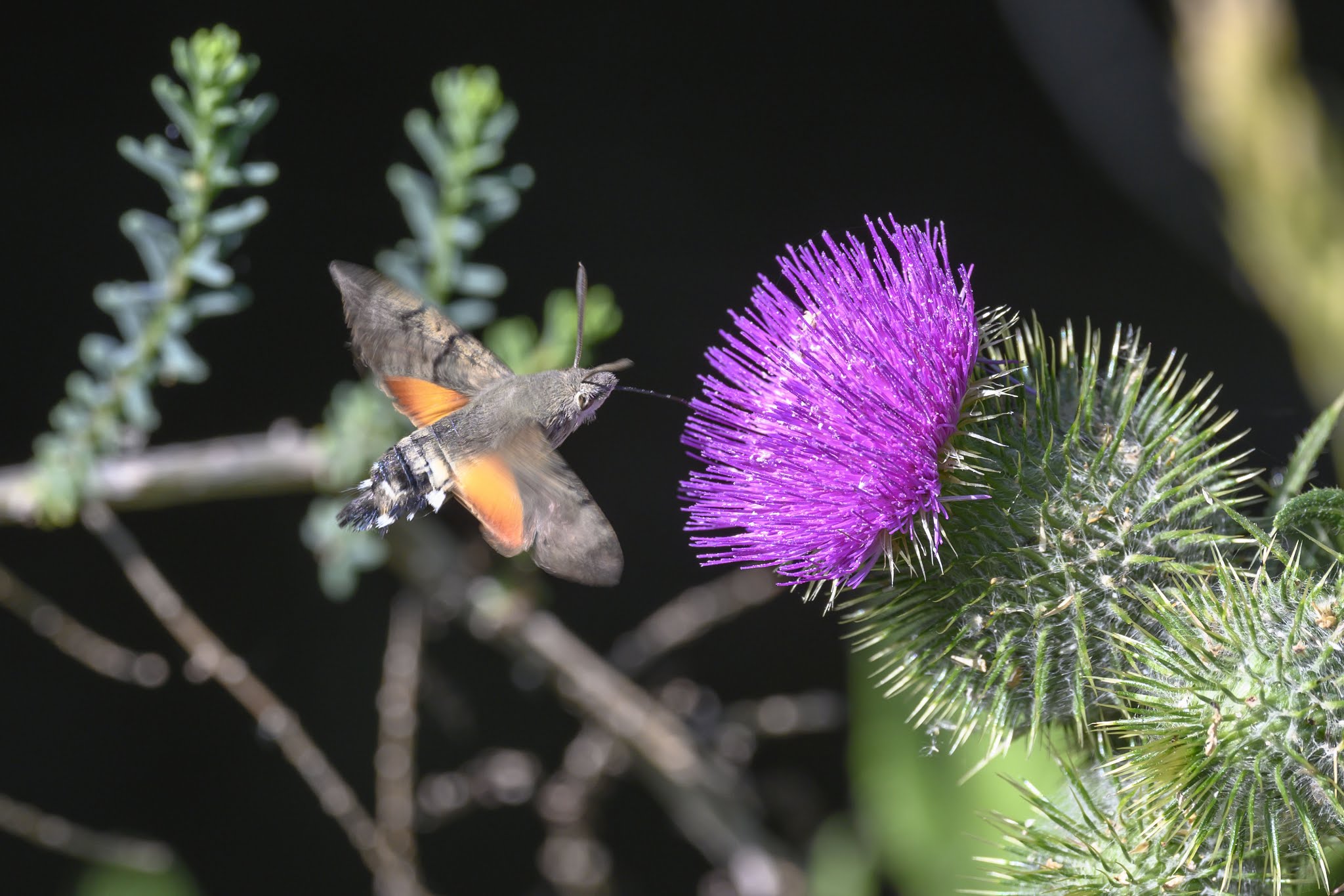 Photo n° 11 de l'avis de Hubert.A fait le 09/06/2019 à 21:13