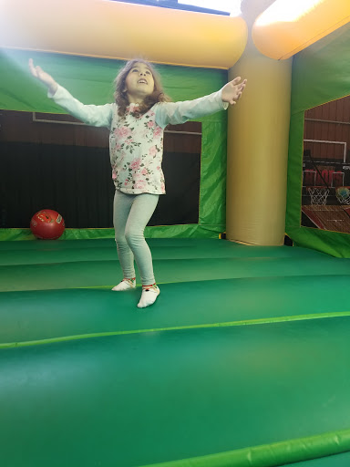 Playland Sausalito and Mt.Tam Adventure Camps LLC - 1