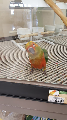 Pet Supply Store «Petco Animal Supplies», reviews and photos, 5260 W Baseline Rd, Laveen Village, AZ 85339, USA