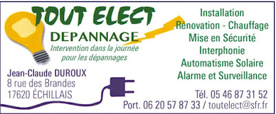 Tout Elect Dépannage à Échillais