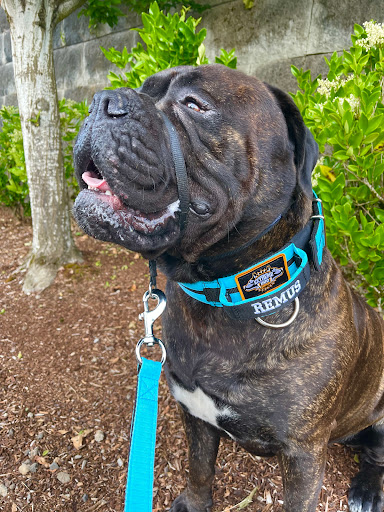 12720 SW 2nd St, Beaverton, OR 97005, USA