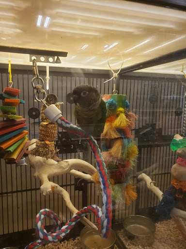 Pet Supply Store «PetSmart», reviews and photos, 1 Worcester Rd, Framingham, MA 01701, USA