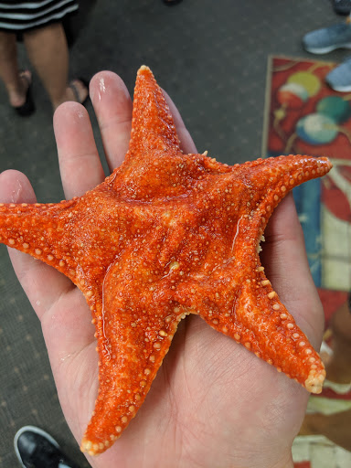 Aquarium «Explore the Ocean World, llc Oceanarium», reviews and photos, 367 Ocean Blvd, Hampton, NH 03842, USA