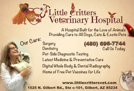 1525 N Gilbert Rd #101c, Gilbert, AZ 85234, USA