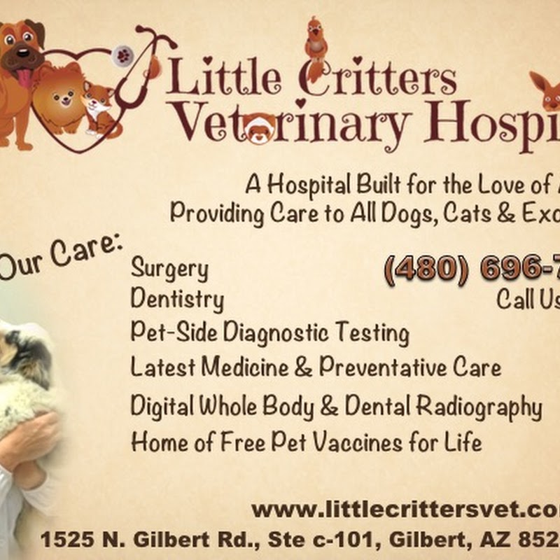 Little Critters Veterinary Hospital