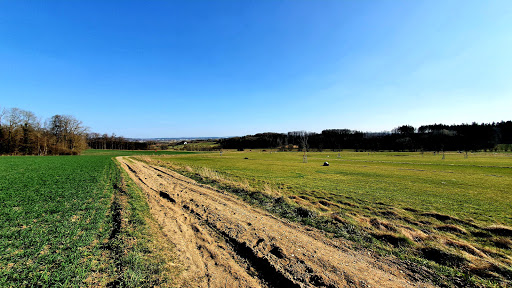 Swingolf Angerhof