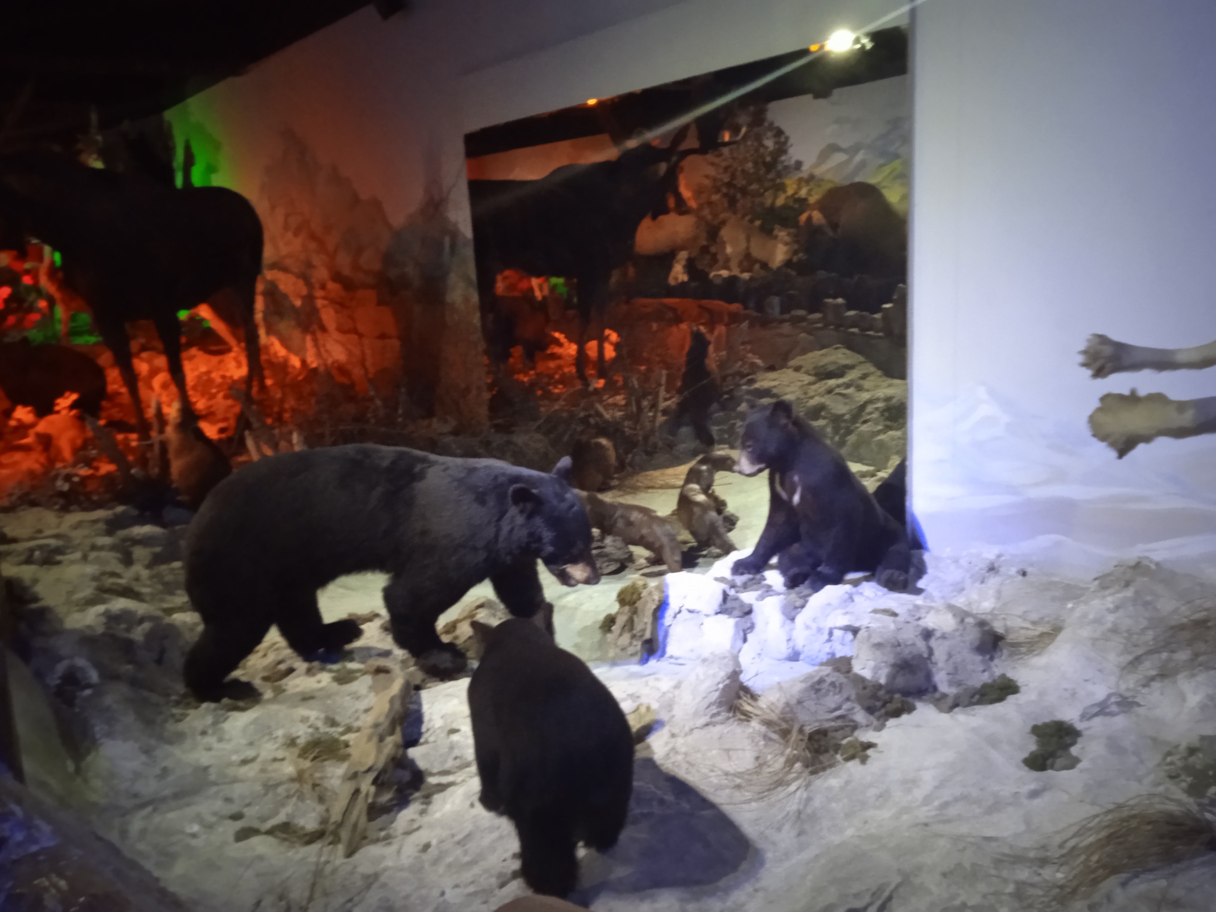 Photo n° 27 de l'avis de Gamer.p fait le 04/06/2022 à 18:21