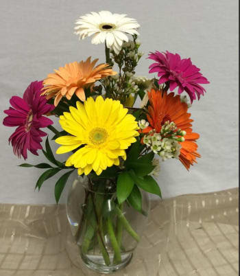 Florist «Parkview Gardens Florist & Greenhouse», reviews and photos, 1925 W Randolph St, St Charles, MO 63301, USA