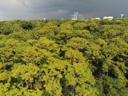 Park «Sanlando Park», reviews and photos, 401 W Highland St, Altamonte Springs, FL 32714, USA