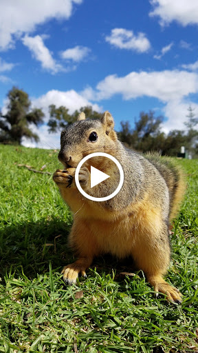 Golf Course «Balboa Golf Course», reviews and photos, 16821 Burbank Blvd, Encino, CA 91436, USA