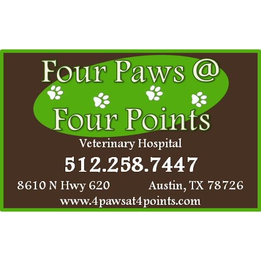 Four Paws At Four Points image 10