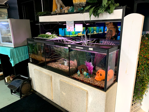 Pet Store «Wet Pets N Critters», reviews and photos, 103 TX-281 Loop, Longview, TX 75605, USA