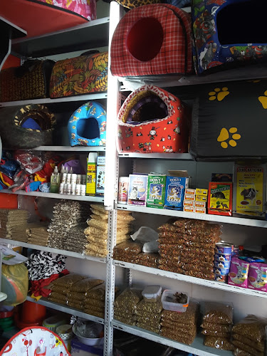 Veterinaria El Mejor Amigo