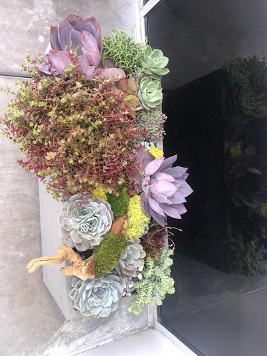 Florist «Enchanted Florist», reviews and photos, 11102 Los Alamitos Blvd, Los Alamitos, CA 90720, USA